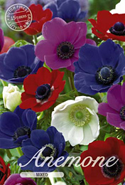 Anemone de Caen Mixed met 5 zakjes verpakt a 15 bollen