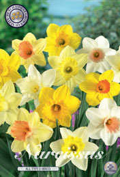 Narcis All Types Mixed met 5 zakjes a 6 bollen