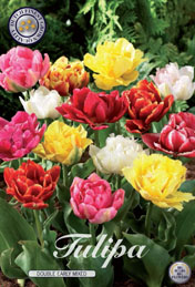 Tulp Double Early Mixed met 5 zakjes a 10 bollen